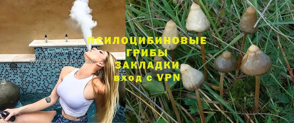 шишки Кулебаки