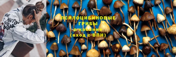 прущая мука Алзамай