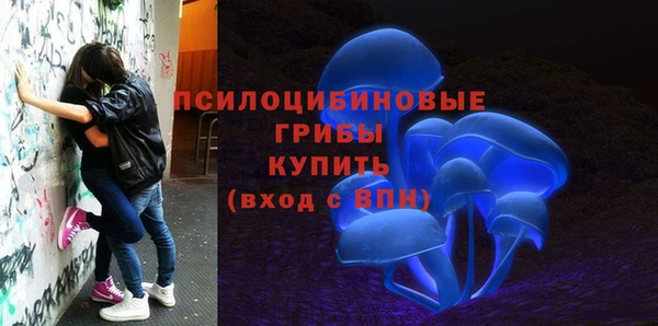 spice Алексин