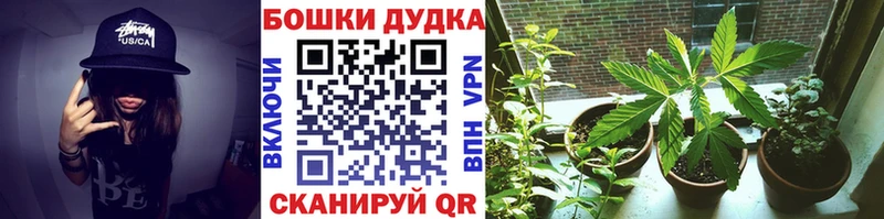 цены   Талица  МАРИХУАНА OG Kush 
